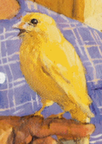 Sunny (American Girl)