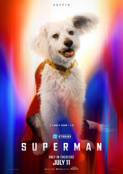 Superman (2025 Film) photo