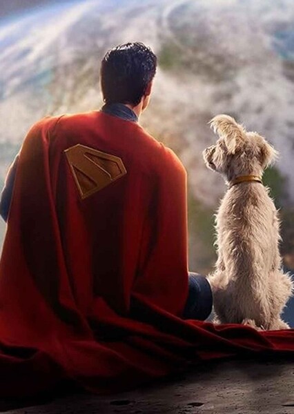 Superman ( DCU ) photo