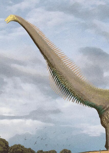 Supersaurus