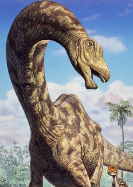 Supersaurus photo