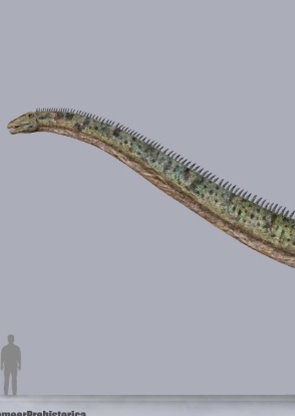 Supersaurus photo