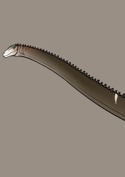 Supersaurus photo