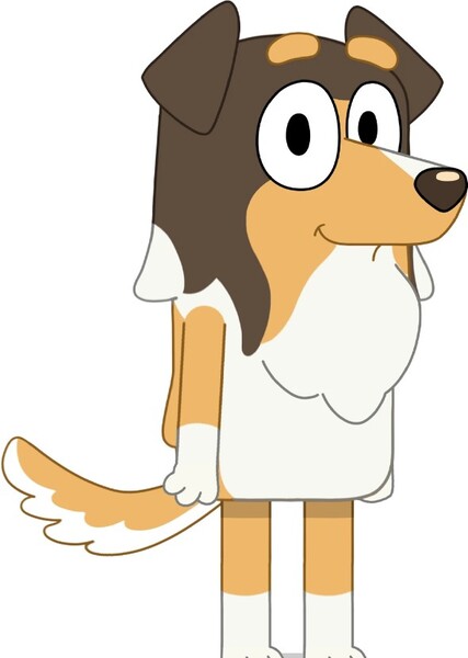 Surfer (Bluey)