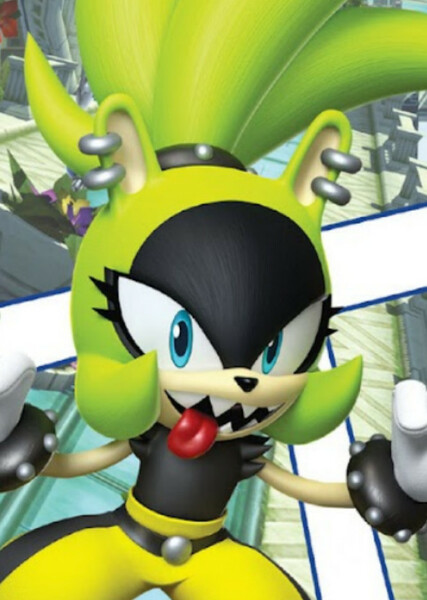 Surge the Tenrec photo