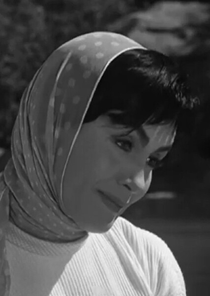 Susan Cabot photo