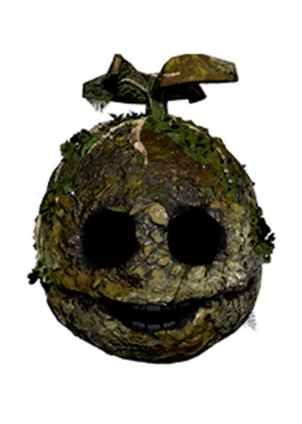 Swamp Balloon Boy photo