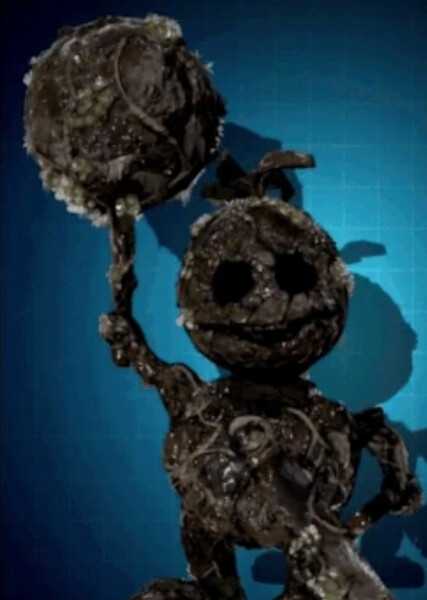Swamp Balloon Boy photo