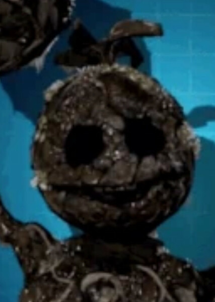 Swamp Balloon Boy photo