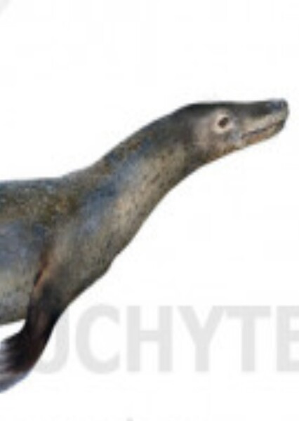 Swan-Necked Seal