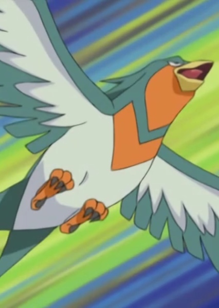 Swellow photo