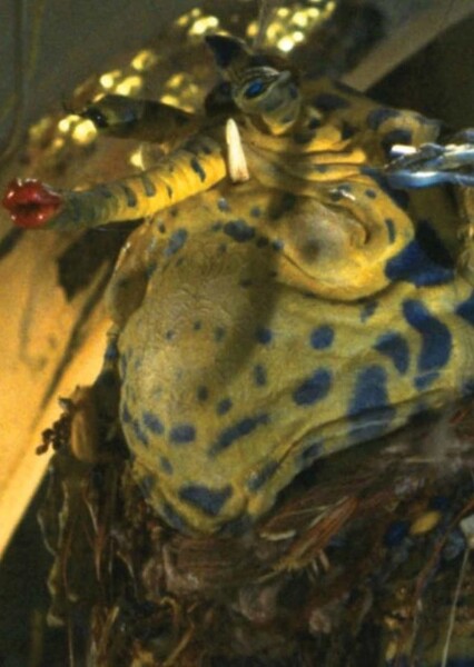 Sy Snootles photo