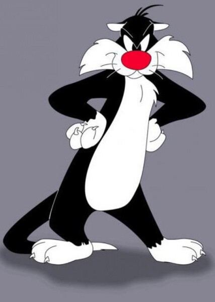 Sylvester the Cat photo