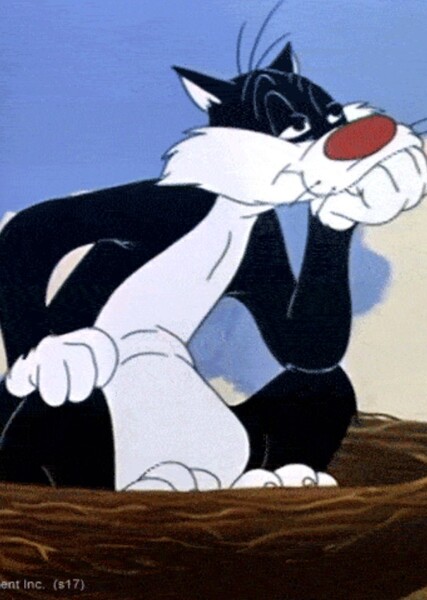 Sylvester the Cat photo