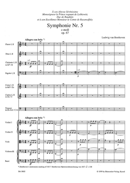 Symphony No. 5 photo
