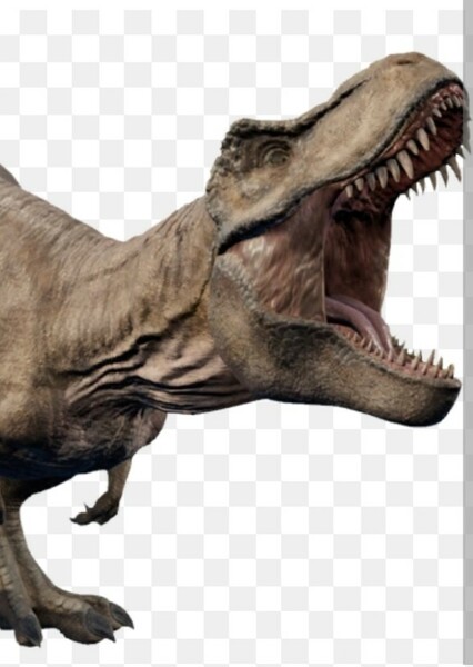 T–Rex photo