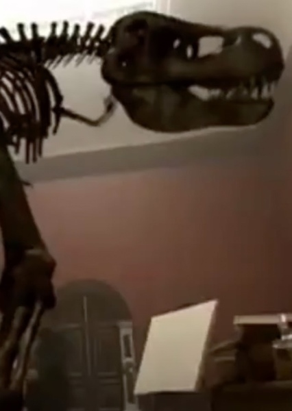 T-Rex Skeleton (T-Rex: A Dinosaur in Hollywood)
