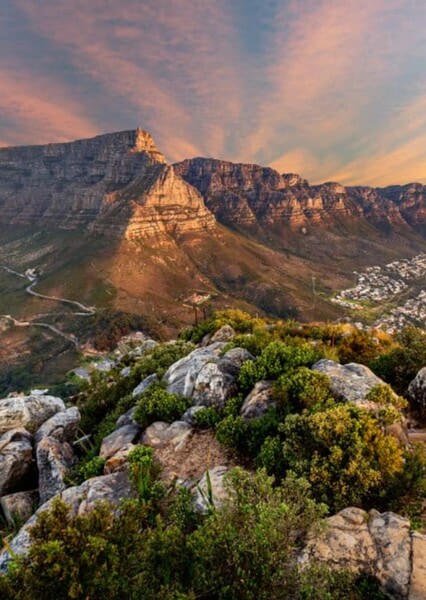 Table Mountain National Park