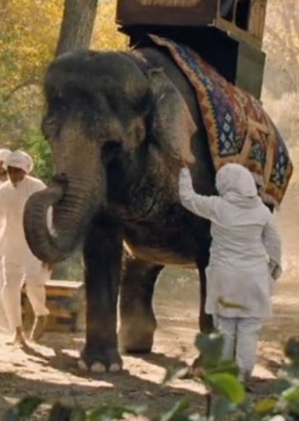 Tai the Elephant photo