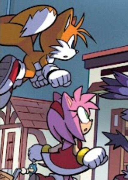 Tails and Amy photo