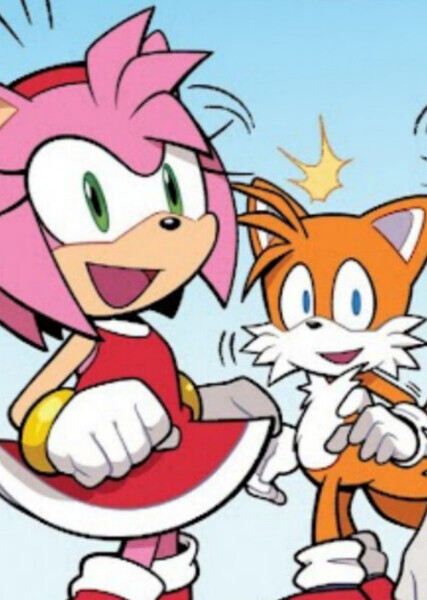 Tails and Amy photo