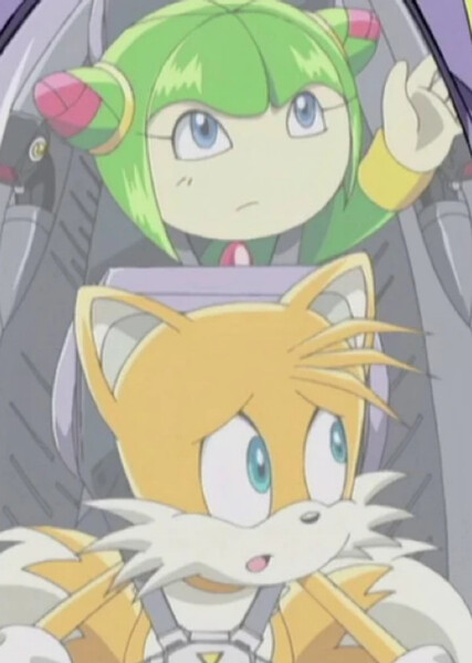 Tails and Cosmo photo
