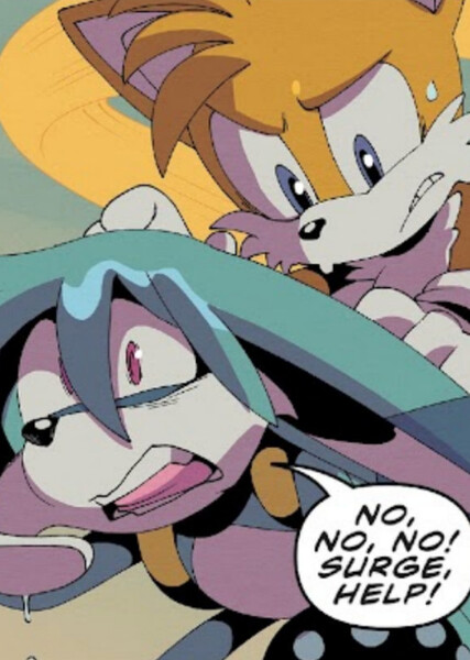 Tails and Kitsunami photo