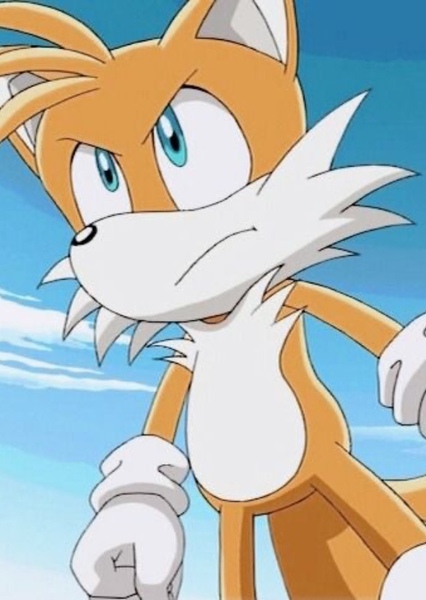 Tails Miles Prower photo