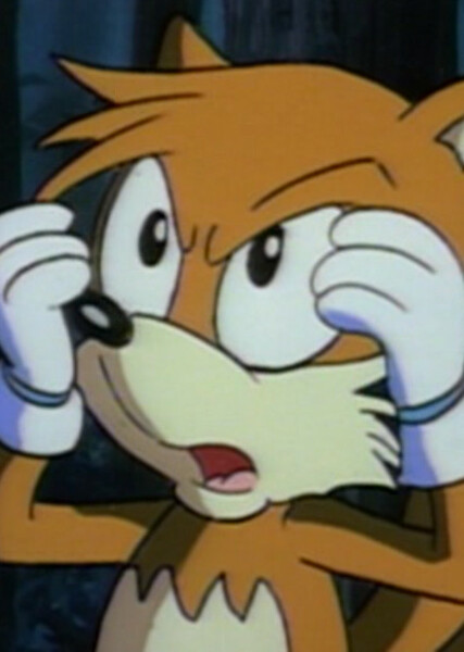 Tails the Fox (SatAM) photo
