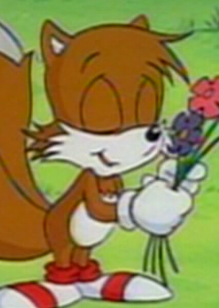 Tails the Fox (SatAM) photo
