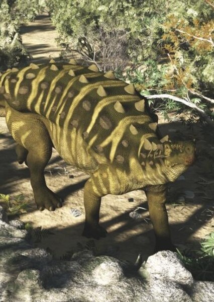 Talarurus photo