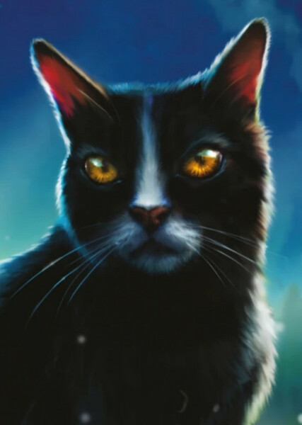 Tallstar (Warrior Cats) photo