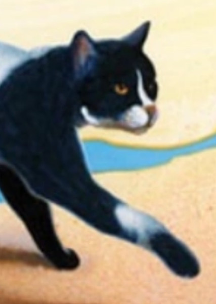 Tallstar (Warrior Cats) photo