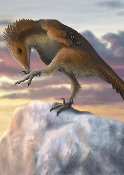 Talos sampsoni