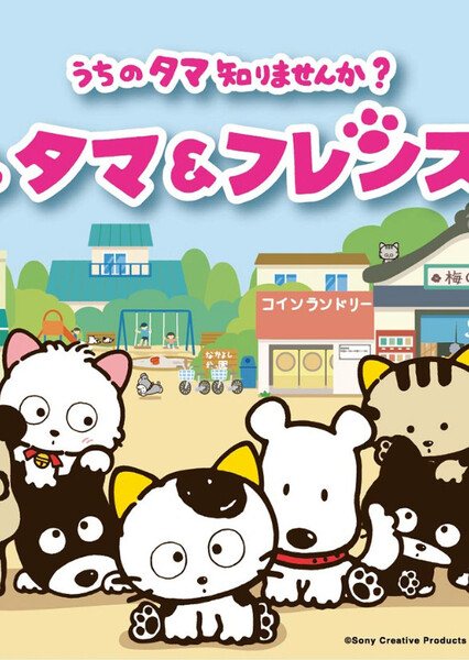 Tama & Friends