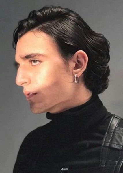 Tamino-Amir Moharam Fouad photo