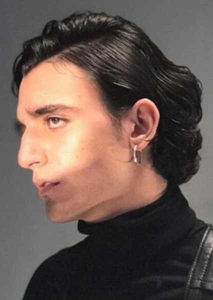 Tamino-Amir Moharam Fouad photo