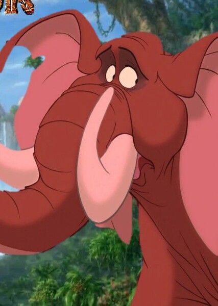 Tantor photo