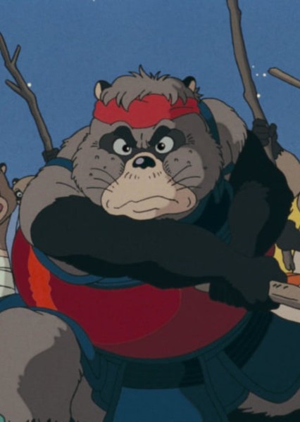 Tanuki photo