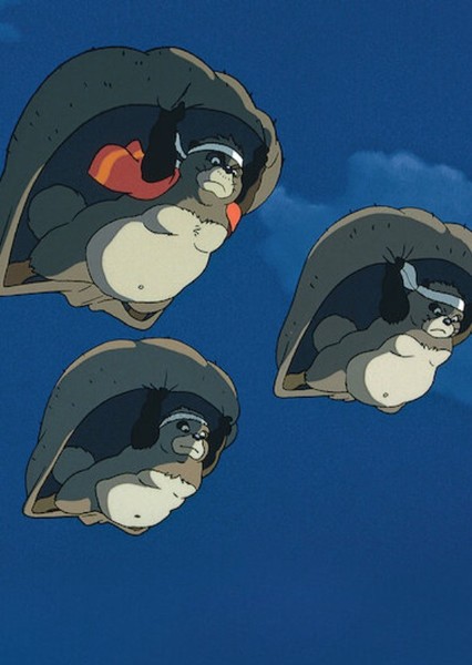 Tanuki photo