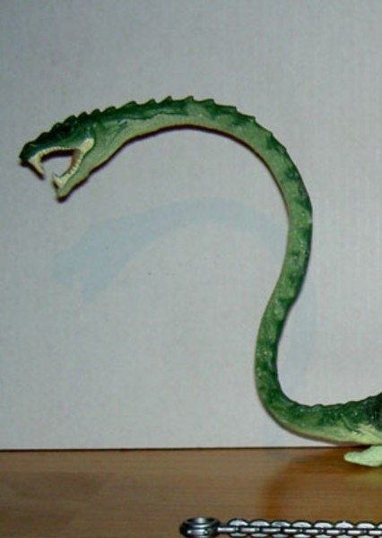 Tanystropheus photo