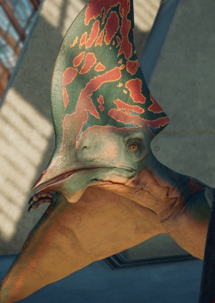 Tapejara