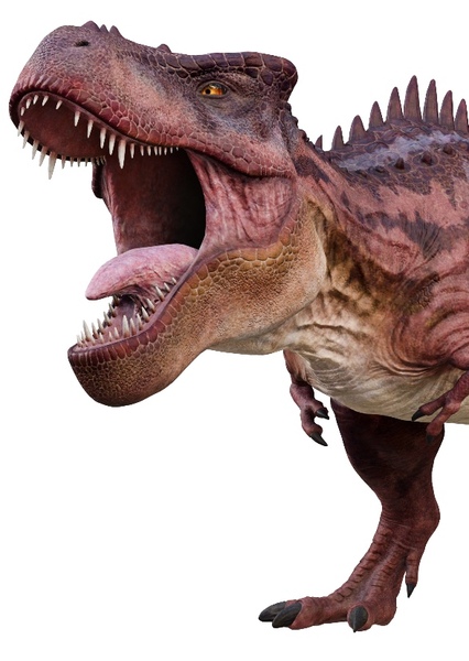 Tarbosaurus photo