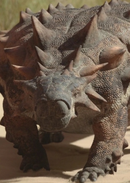 Tarchia