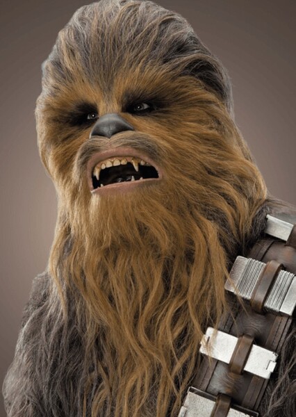 Chewbacca