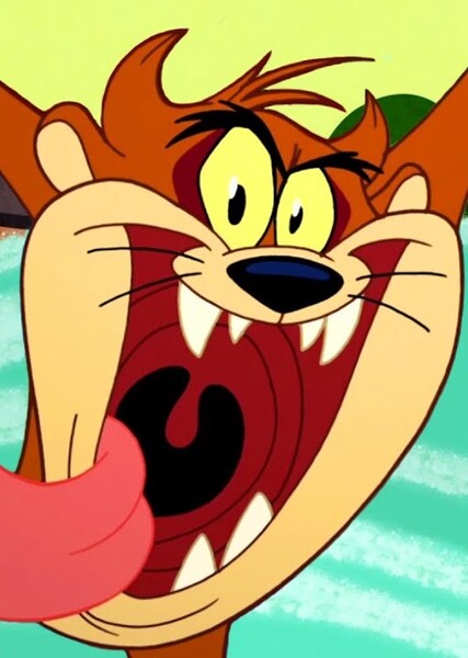 Tasmanian Devil photo