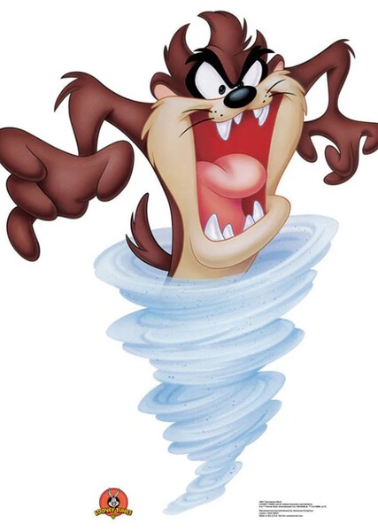Tasmanian Devil photo