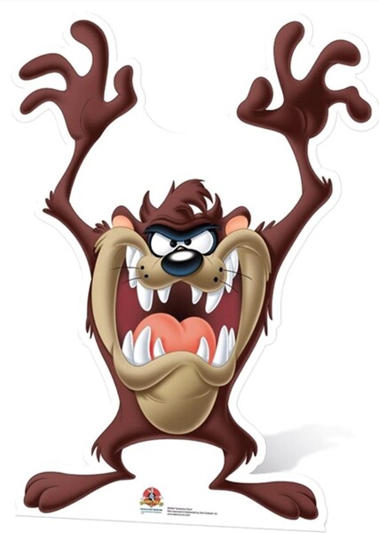 Tasmanian Devil photo