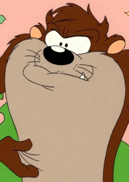 Tasmanian Devil photo