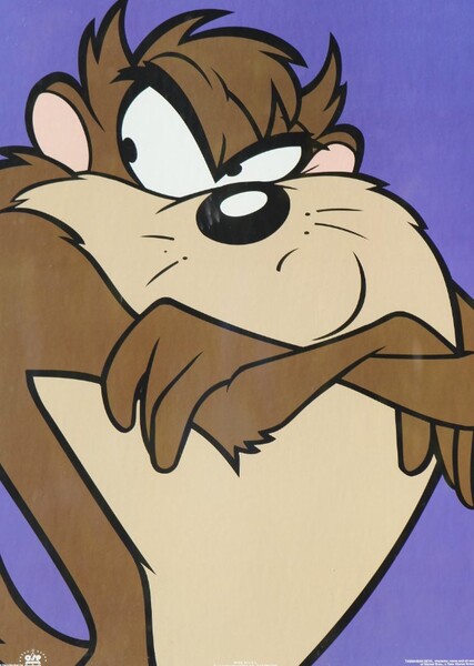 Tasmanian Devil photo